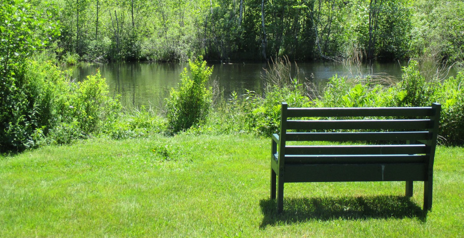 avalon-green-pond-park-bench - Avalon Village